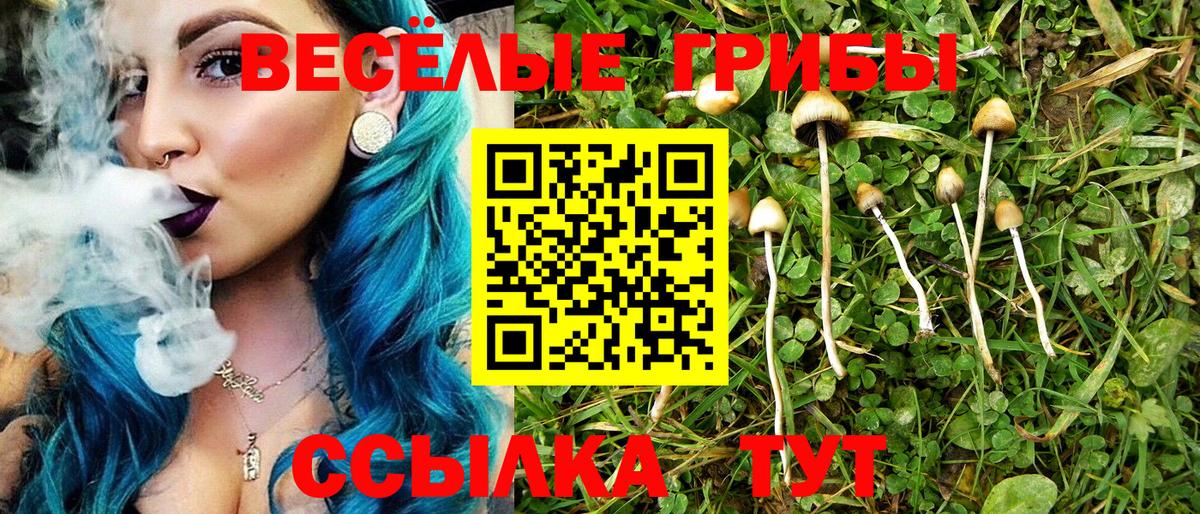 Псилоцибиновые грибы GOLDEN TEACHER Алексеевка