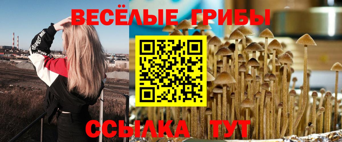 Алексеевка  Псилоцибиновые грибы Cubensis  Вход с VPN  Галлюциногенные грибы Cubensis 
